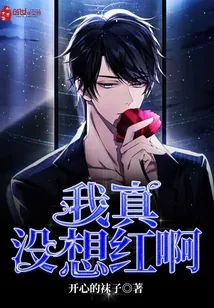 《我真没想红啊》小说封面