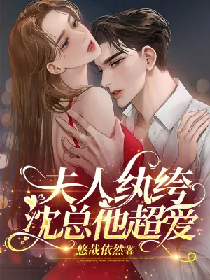 《夫人纨绔,沈总他超爱》小说封面