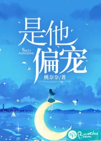 《是他偏宠》小说封面