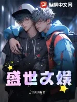 《盛世文娱》小说封面
