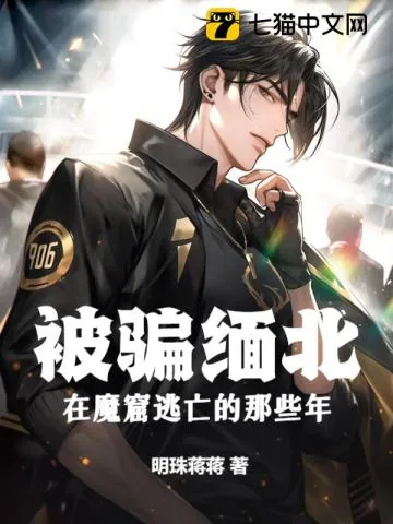 《被骗缅北，在魔窟逃亡的那些年》小说封面