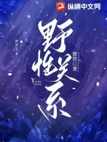 《野性关系》小说封面