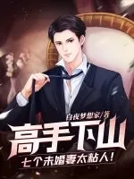 《高手下山：七个未婚妻太粘人！》小说封面