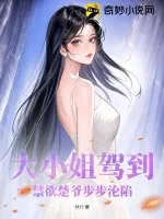 《大小姐驾到!禁欲楚爷步步沦陷》小说封面
