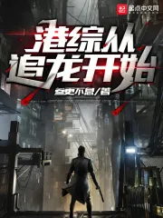 《港综从追龙开始》小说封面