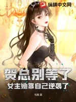 《贺总别等了，女主她靠自己逆袭了》小说封面