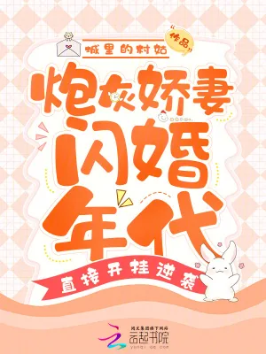 《炮灰娇妻闪婚年代,直接开挂逆袭》小说封面