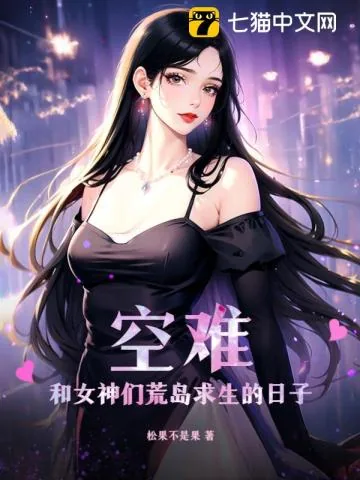 《空难:和女神们荒岛求生的日子》小说封面