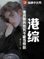 《港综：谁说警务处长不能当悍匪？》小说封面