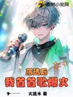 《落选后我首首歌爆火》小说封面