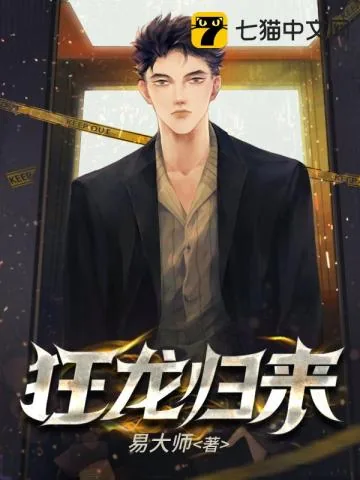 《狂龙归来》小说封面