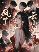 《云小姐离婚后,满城权贵都疯了》小说封面