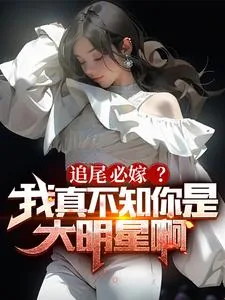 《追尾必嫁?我真不知你是大明星啊》小说封面