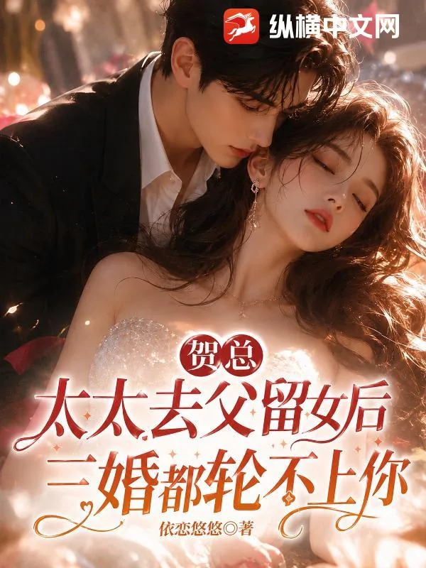 《贺总,太太去父留女后,三婚都轮不上你》小说封面