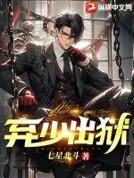 《弃少出狱》小说封面