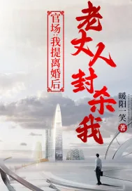 《官场：我提离婚后，老丈人封杀我》小说封面