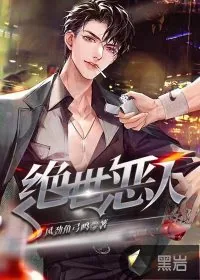 《绝世恶人》小说封面