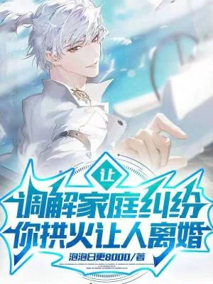《让调解家庭纠纷,你拱火让人离婚》小说封面