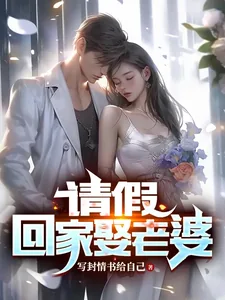 《请假，回家娶老婆》小说封面