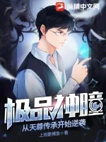 《极品神瞳：从天尊传承开始逆袭》小说封面