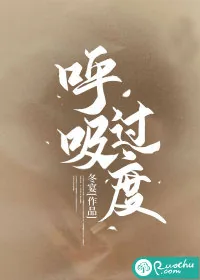 《呼吸过度》小说封面