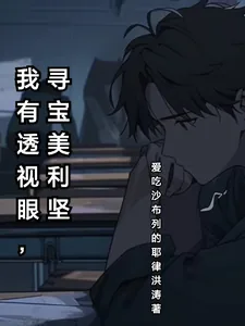 《我有透视眼，寻宝美利坚》小说封面