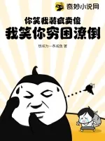 《你笑我装疯卖傻，我笑你穷困潦倒》小说封面