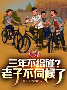《结婚三年不给碰？老子不伺候了》小说封面