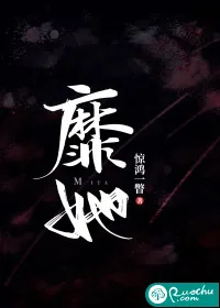 《靡她》小说封面