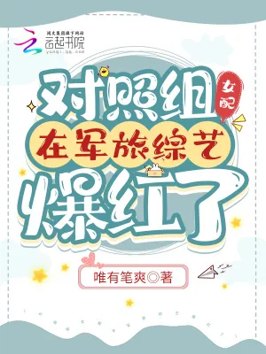 《对照组女配在军旅综艺爆红了》小说封面