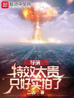 《导演:特效太贵,只好实拍了》小说封面
