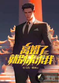 《离婚了，就别来求我》小说封面