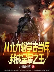 《从北大辍学去当兵，我成全军之王》小说封面