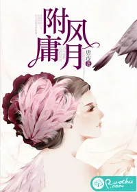 《附庸风月》小说封面