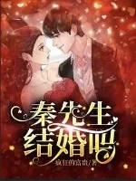 《秦先生结婚吗？》小说封面