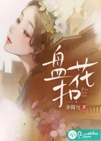 《盘花扣》小说封面