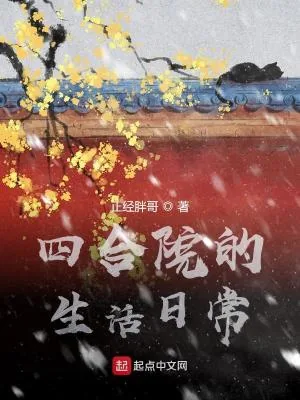 《四合院的生活日常》小说封面
