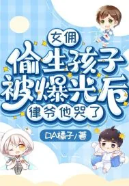 《女佣偷生孩子被爆光后，律爷他哭了》小说封面