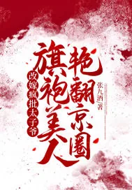 《改嫁疯批太子爷,旗袍美人艳翻京圈》小说封面
