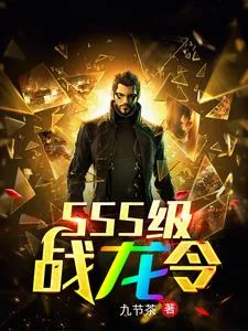 《sss级战龙令》小说封面