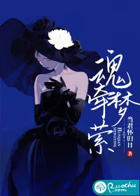 《魂牵梦萦》小说封面