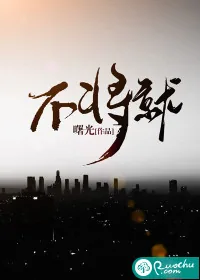 《不将就》小说封面