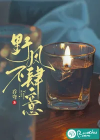 《野风不肆意》小说封面