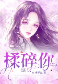 《揉碎你》小说封面