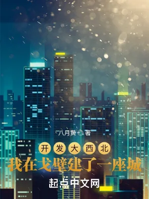 《开发大西北:我在戈壁建了一座城》小说封面