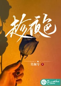 《趁夜色》小说封面