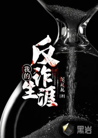 《我的反诈生涯》小说封面