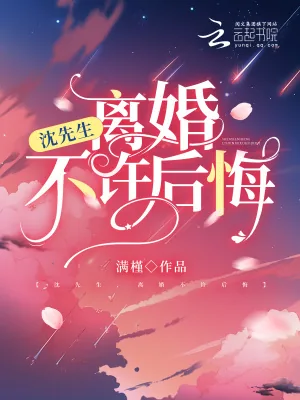 《沈先生，离婚不许后悔》小说封面