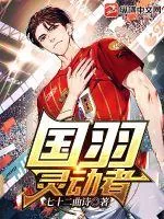 《国羽：灵动者》小说封面