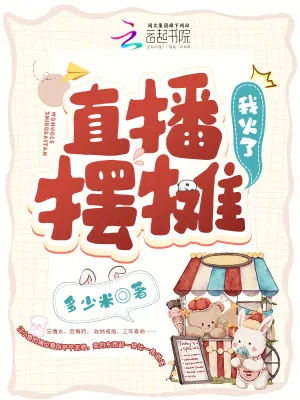 《直播摆摊，我火了》小说封面